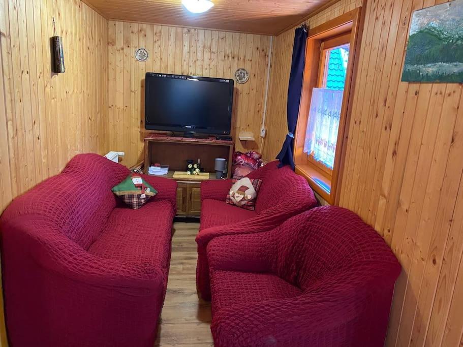 Cabana Cerbul De Aur Sub Cetate Luaran gambar